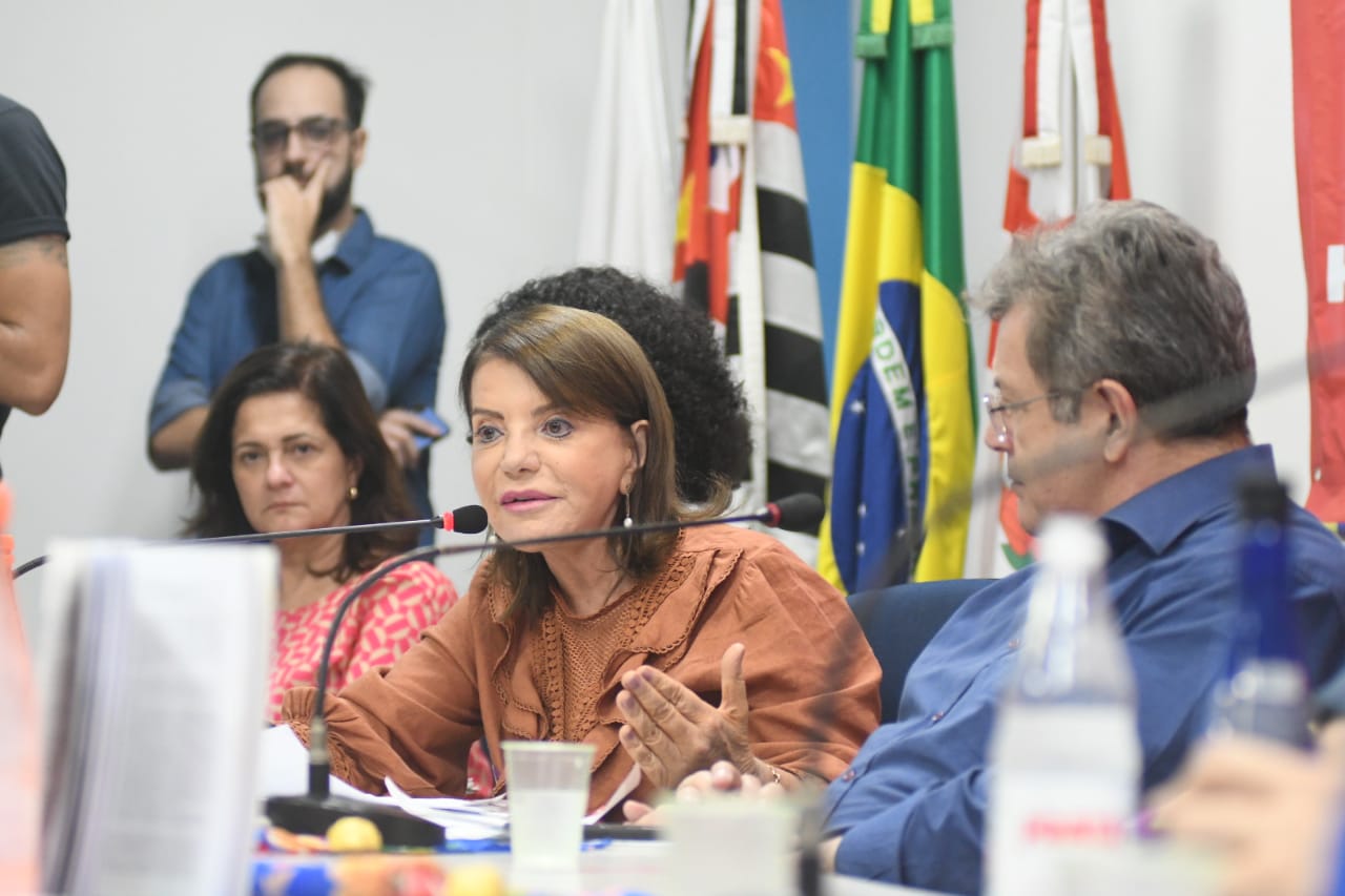 Read more about the article Professora Bebel participa de Seminário da Educação a convite de Fernando Haddad