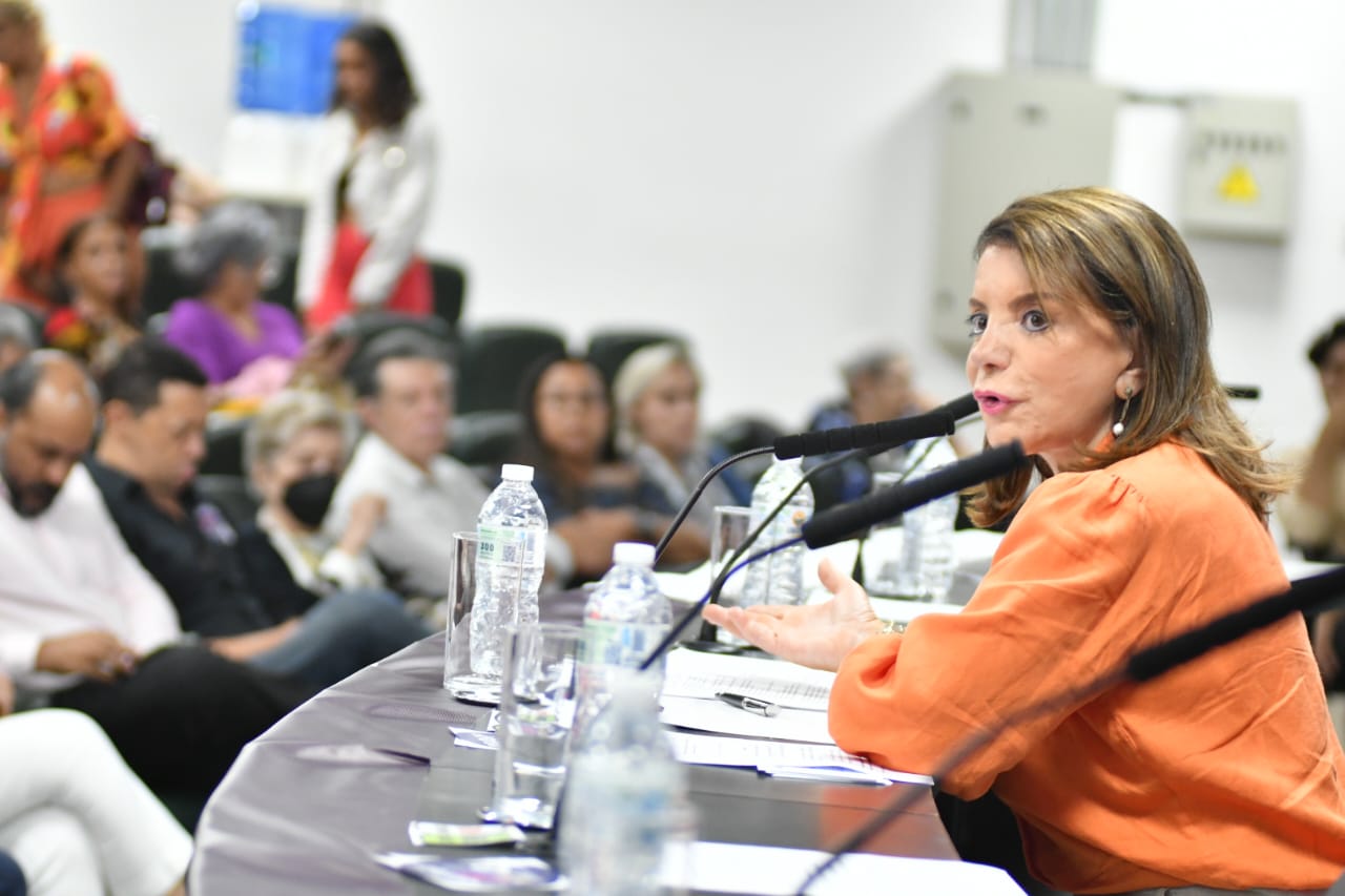 Read more about the article Audiência Pública na Alesp debate segurança nas escolas e mediação escolar